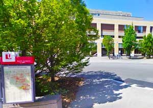 York University - life learning 